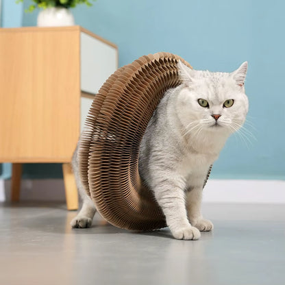 Interactive Cat Scratcher - Magnetic Organ with Ball