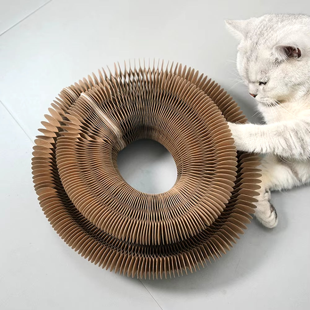 Interactive Cat Scratcher - Magnetic Organ with Ball