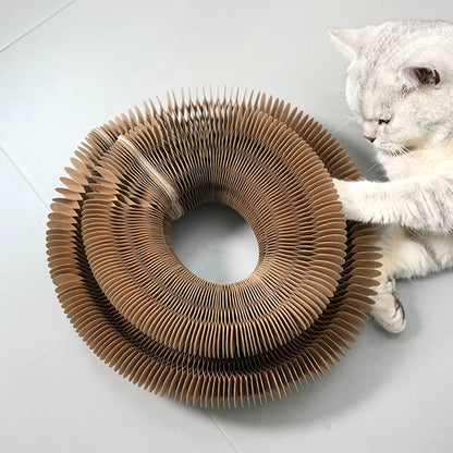 Interactive Cat Scratcher - Magnetic Organ with Ball