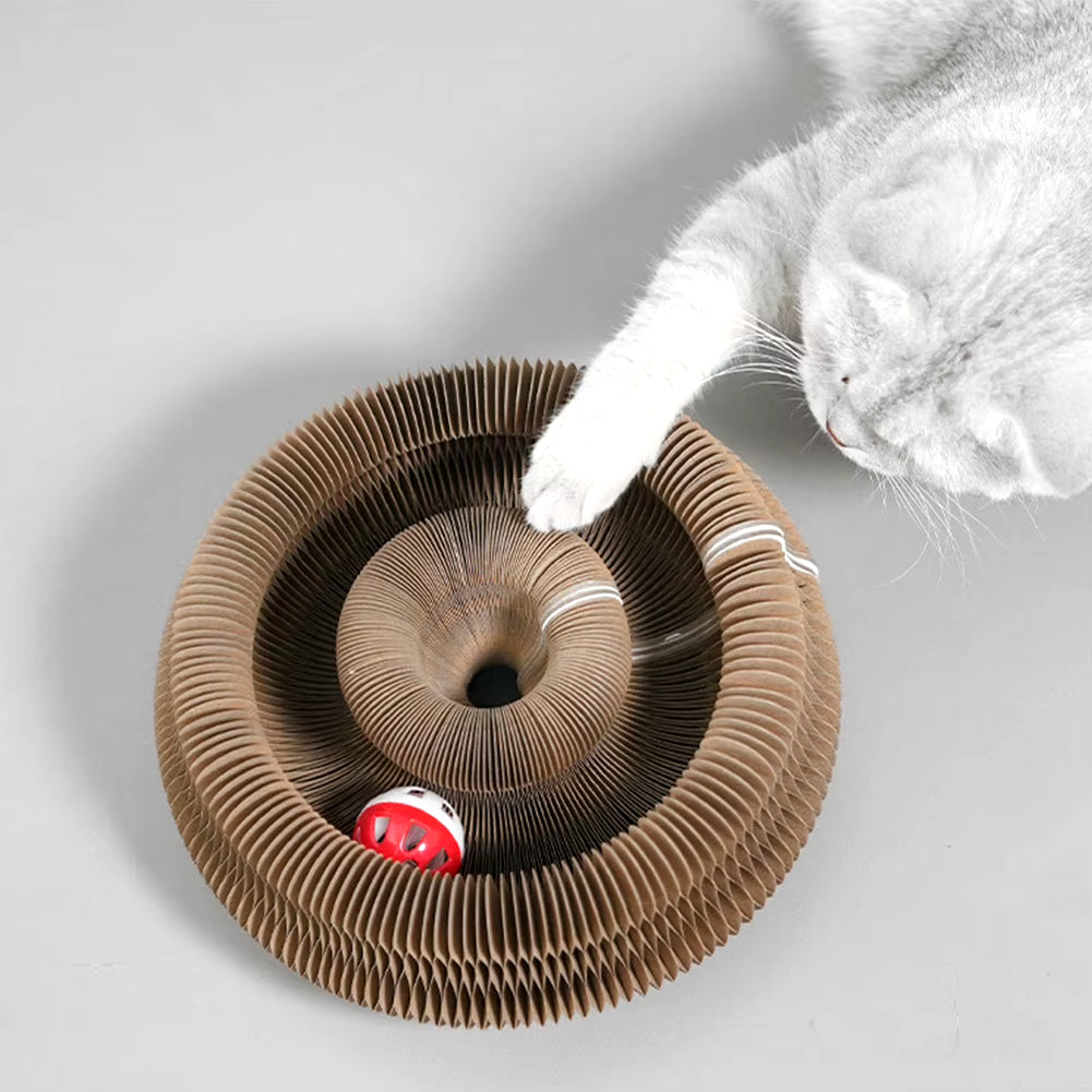 Interactive Cat Scratcher - Magnetic Organ with Ball